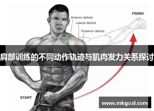 肩部训练的不同动作轨迹与肌肉发力关系探讨