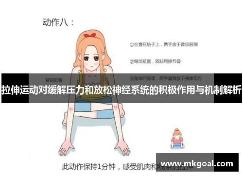 拉伸运动对缓解压力和放松神经系统的积极作用与机制解析